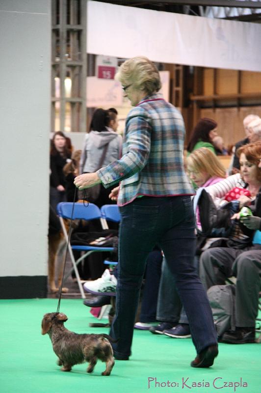 Crufts2011_2 1050.jpg